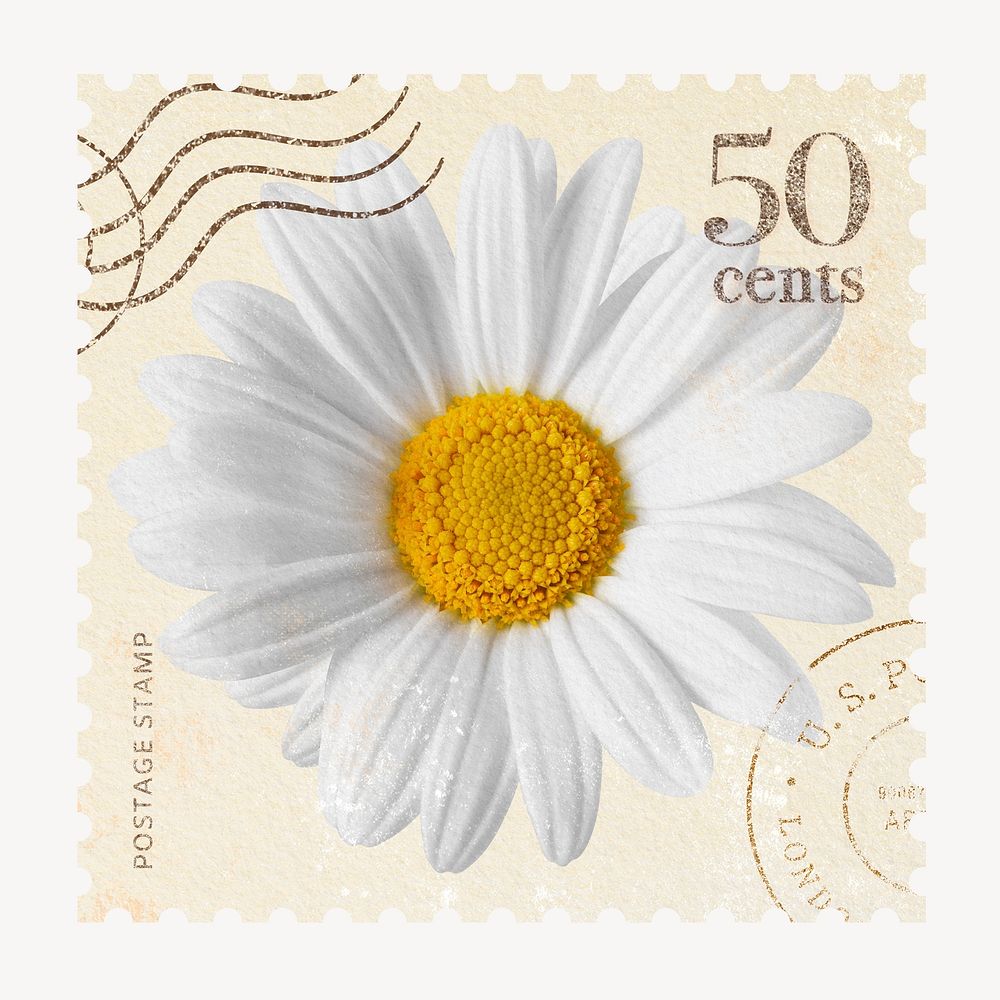 White Daisy Postage Stamp Flower Free Photo Rawpixel