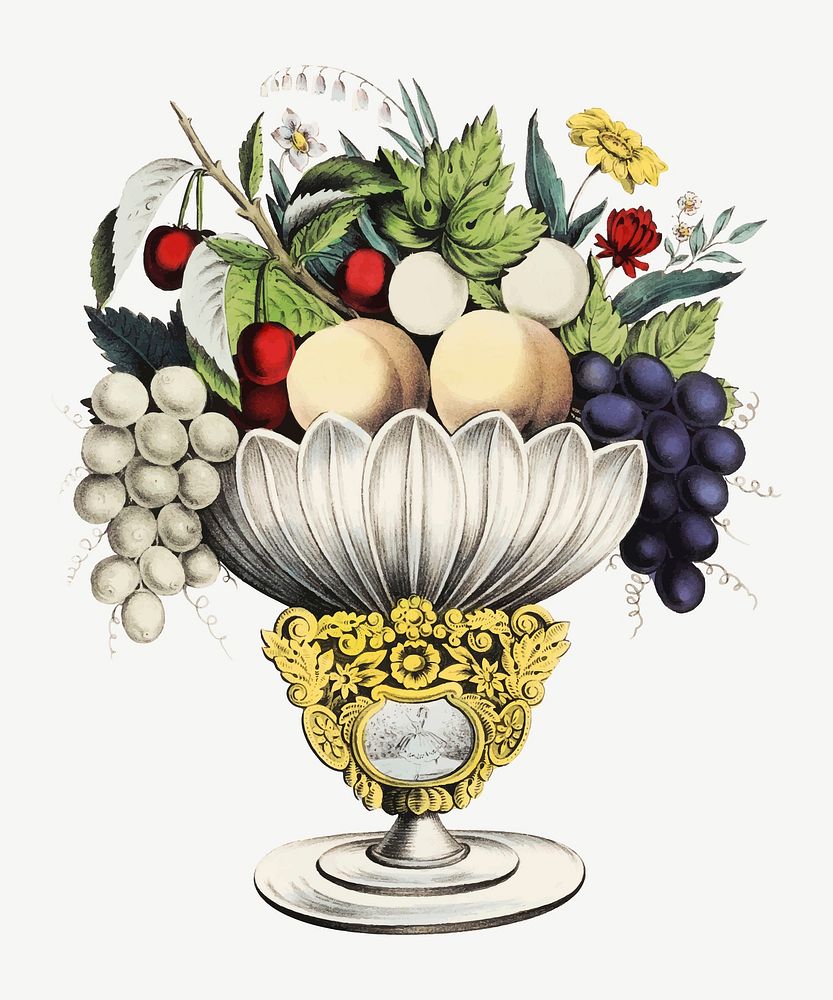 Vintage fruit vase vector illustration, Premium Vector Illustration rawpixel