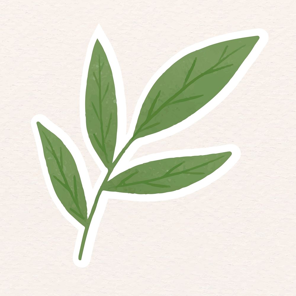 Green leaves sticker vector | Premium Vector - rawpixel