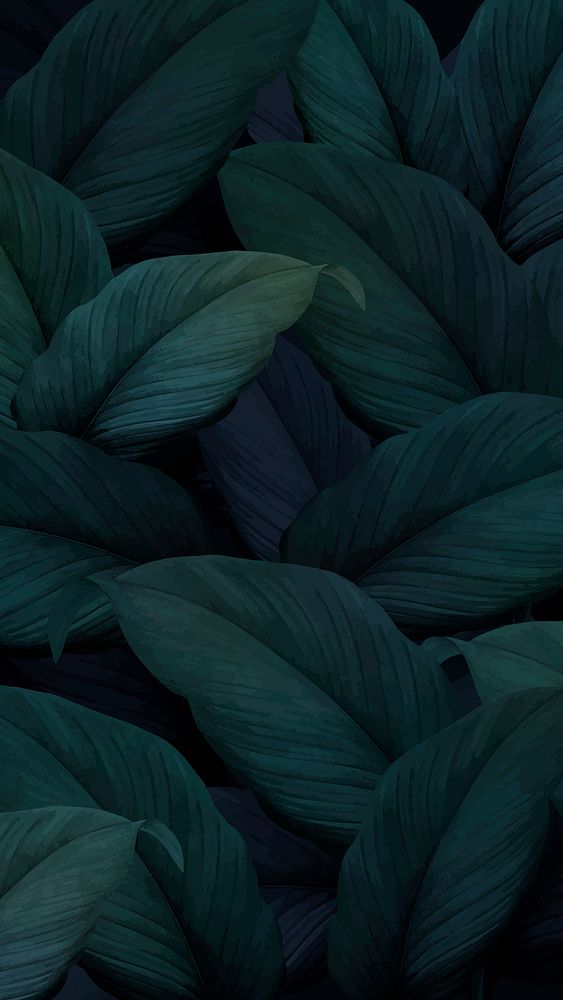 Green leaf iPhone wallpaper design Premium Photo Illustration rawpixel
