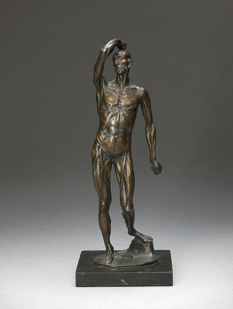 Ecorché Figure Free Photo rawpixel