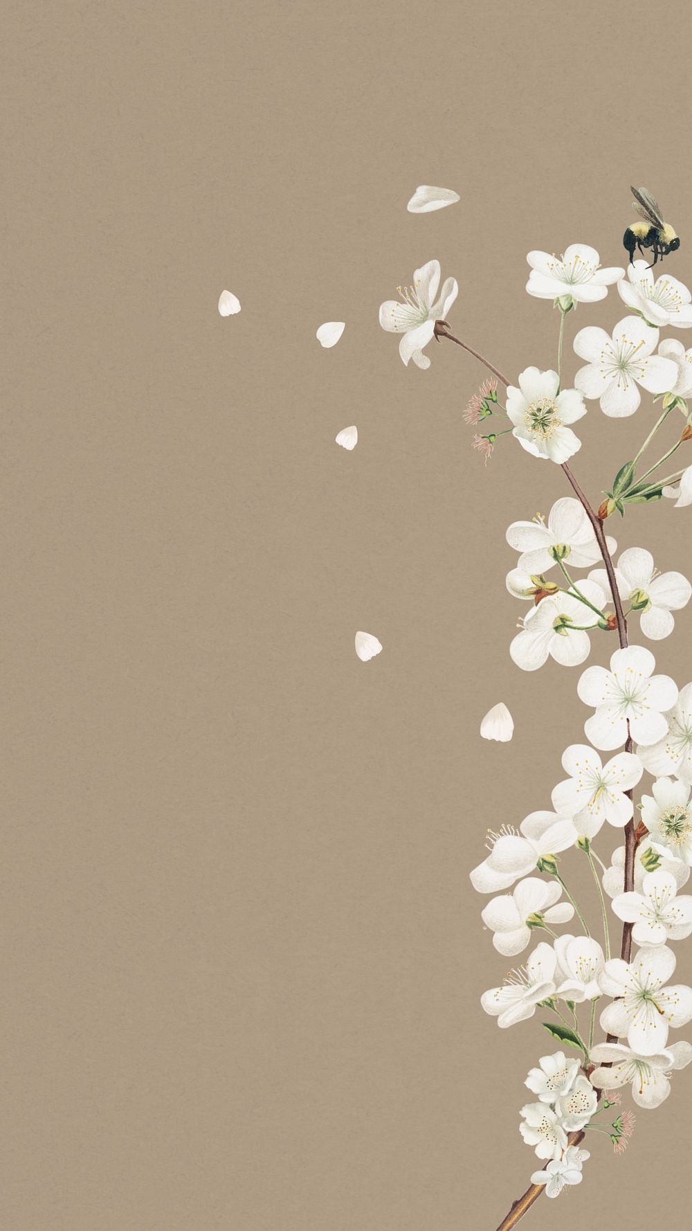 Amarena cherry flower phone wallpaper, | Premium Photo - rawpixel