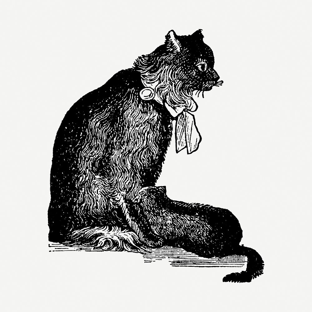 Angora cat hand drawn illustration, | Premium Photo Illustration - rawpixel