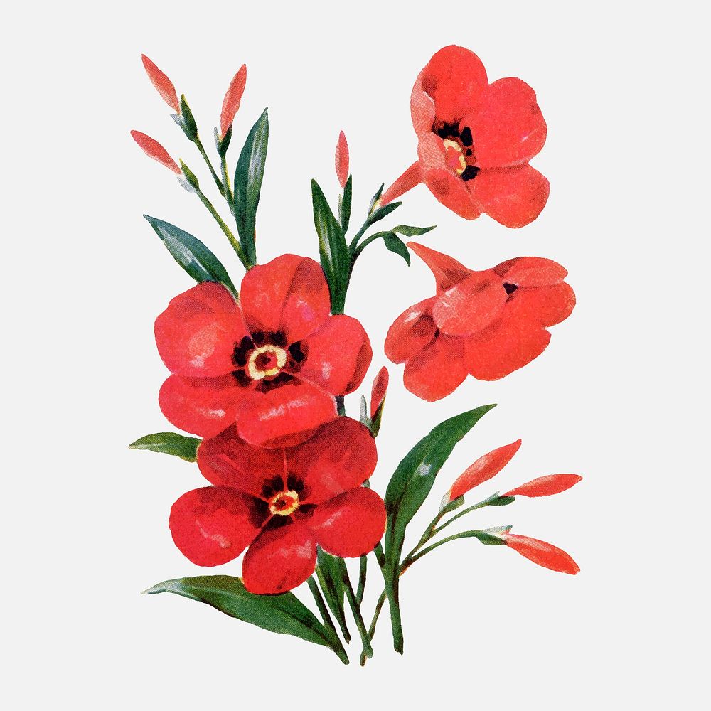 Flower flower clipart, vintage watercolor | Premium Vector Illustration ...