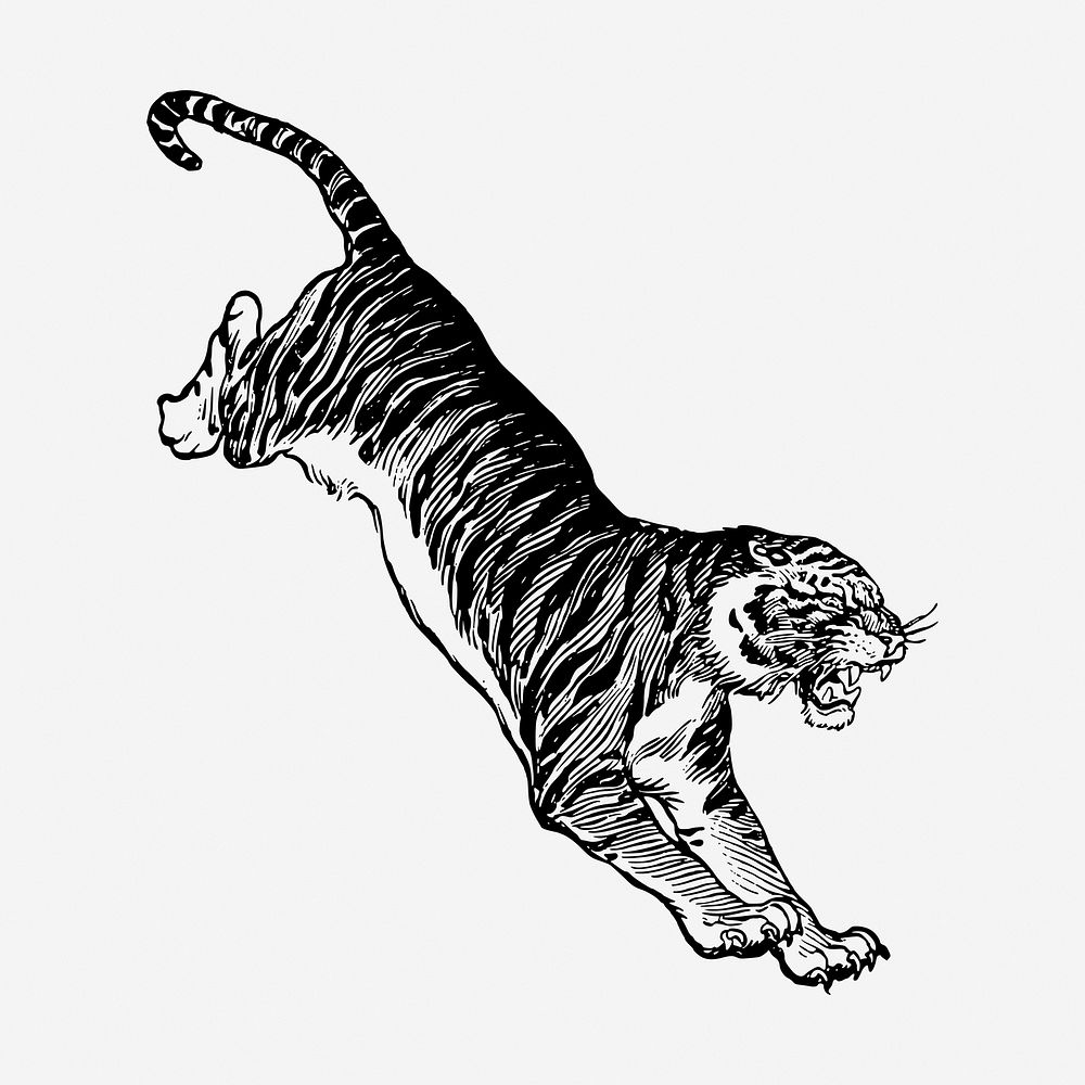 Jumping tiger, vintage animal illustration. | Free Photo Illustration ...