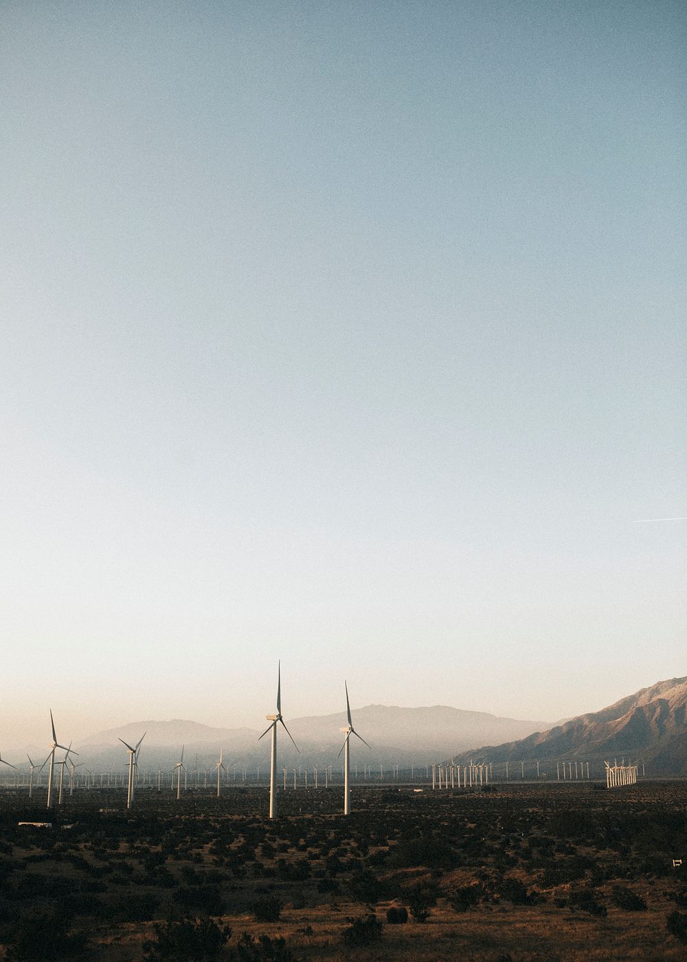 Wind turbines in the Palm | Photo - rawpixel