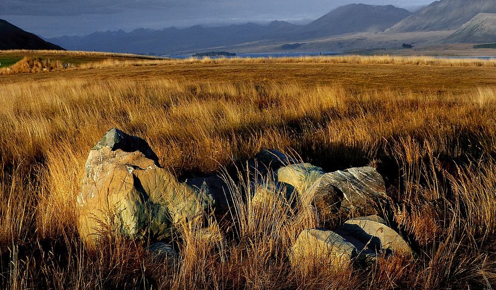 Dusk on the Downs. NZ. | Free Photo - rawpixel