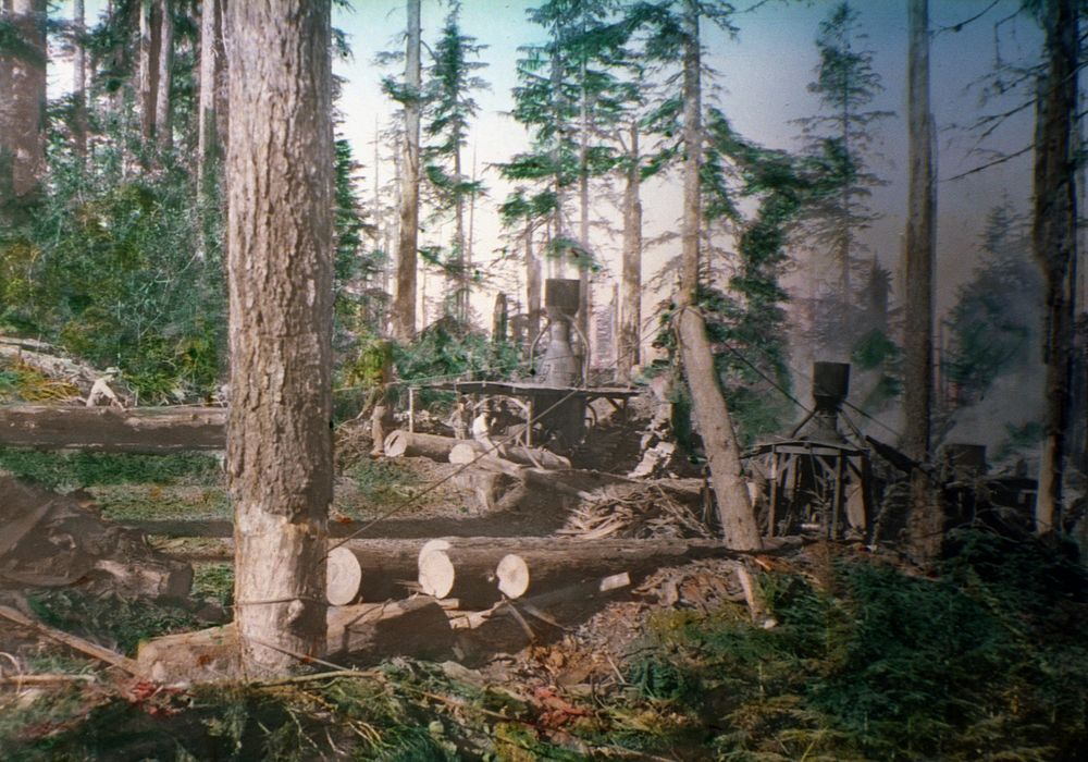 Two donkeys at the Bridal Free Photo rawpixel