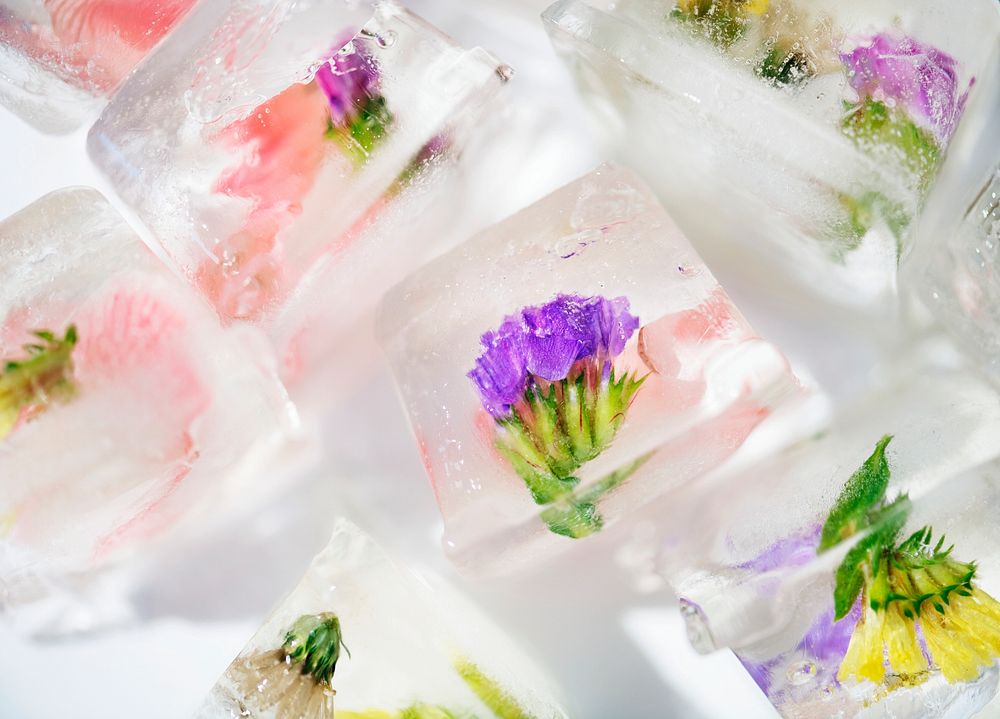 Closeup of flowers ice cube Premium Photo rawpixel