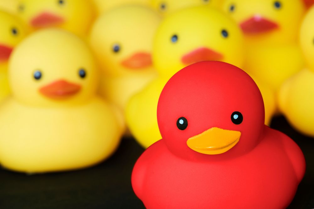 Closeup of rubber duckies Free Photo rawpixel