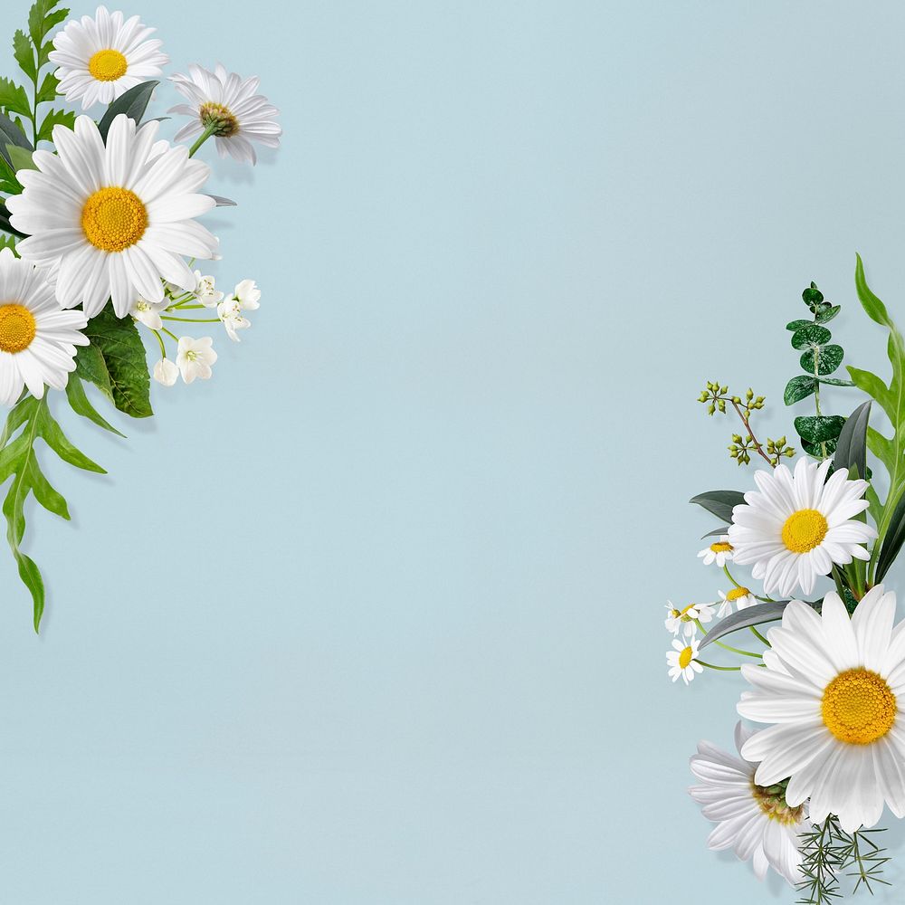 White flowers border frame, floral | Premium PSD - rawpixel