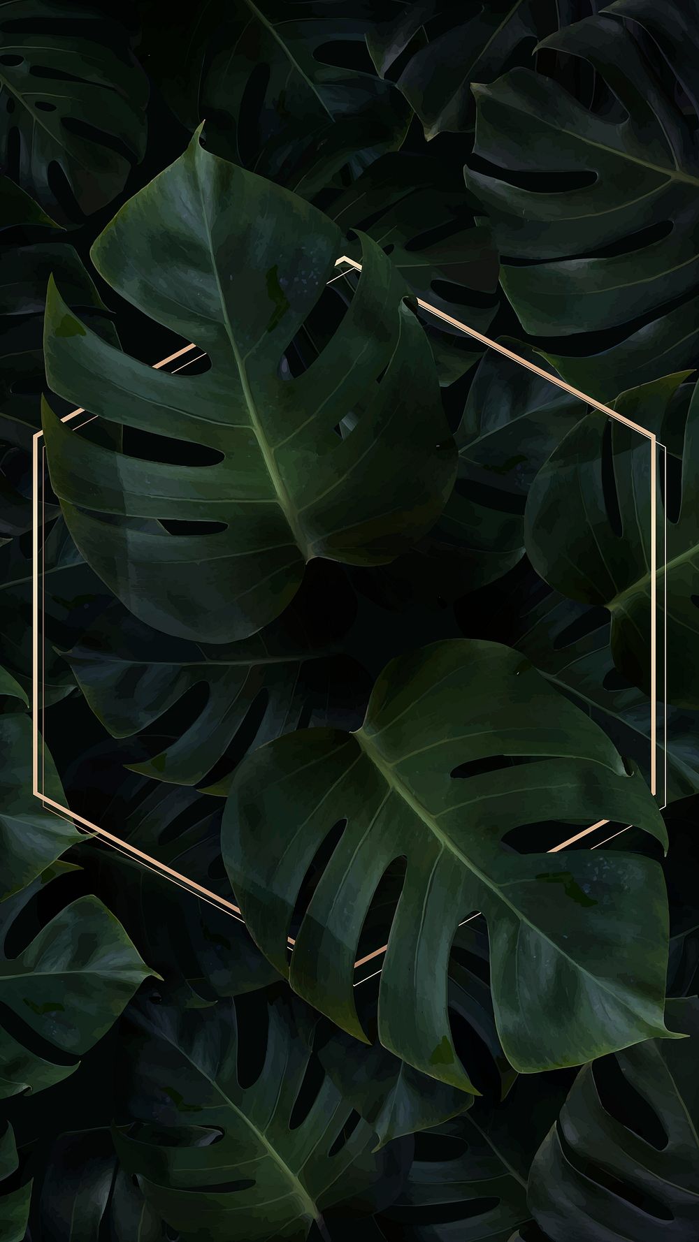 Hexagon golden frame on a tropical | Premium Vector - rawpixel