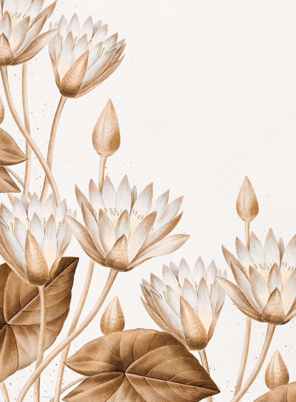 Egyptian Lotus Vintage Illustration, Remix | Premium Photo Illustration ...