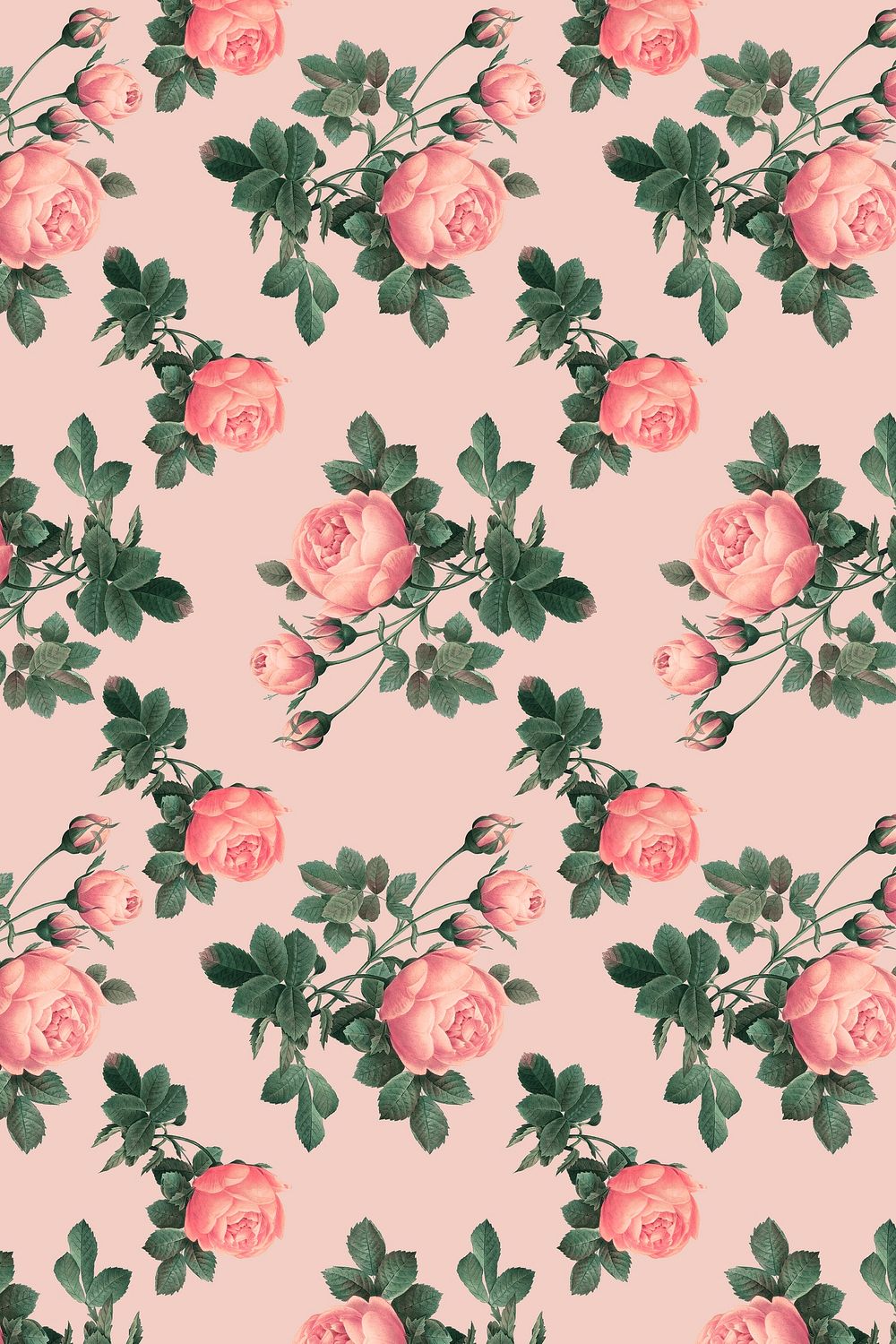 Pink English rose pattern on a crepe | Premium Photo - rawpixel
