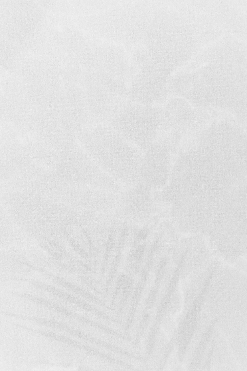 Gray palm leaf shadow background | Premium Photo - rawpixel