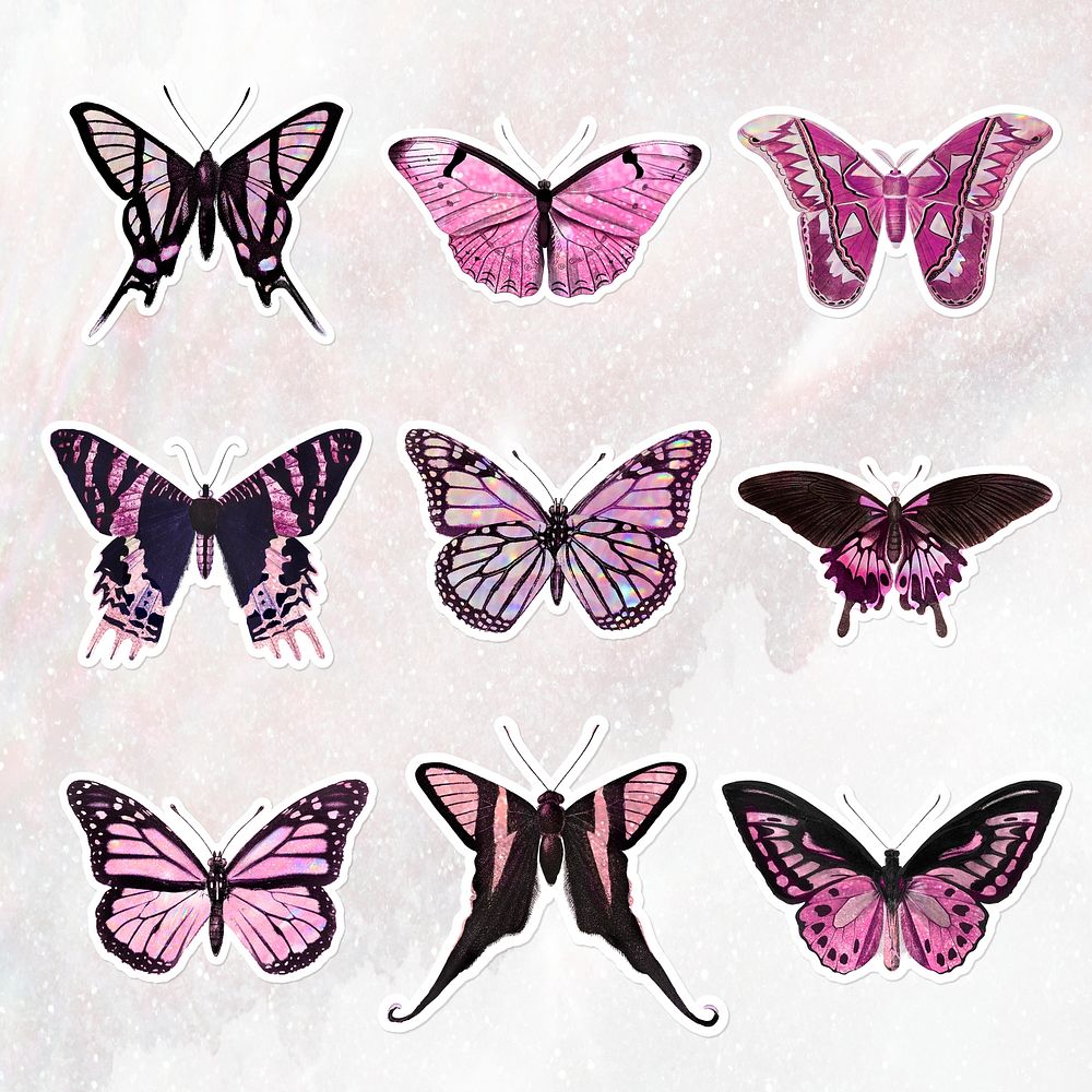 Pink holographic and glittery butterfly Premium PSD rawpixel