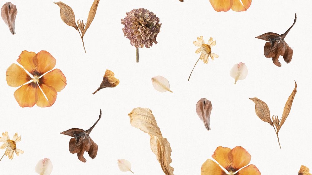 Natural dried flower wallpaper pattern | Free Photo - rawpixel