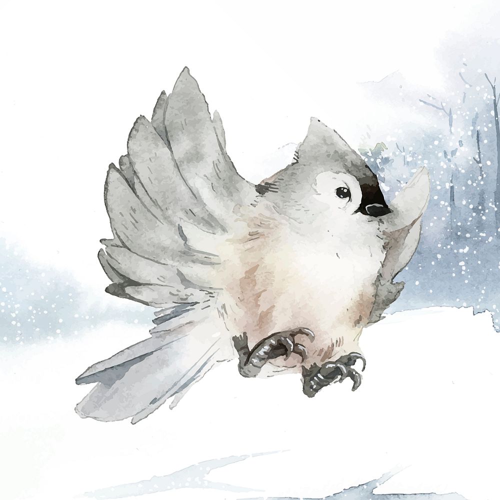Tufted Titmouse Bird In Wintertime Premium Vector Illustration Rawpixel