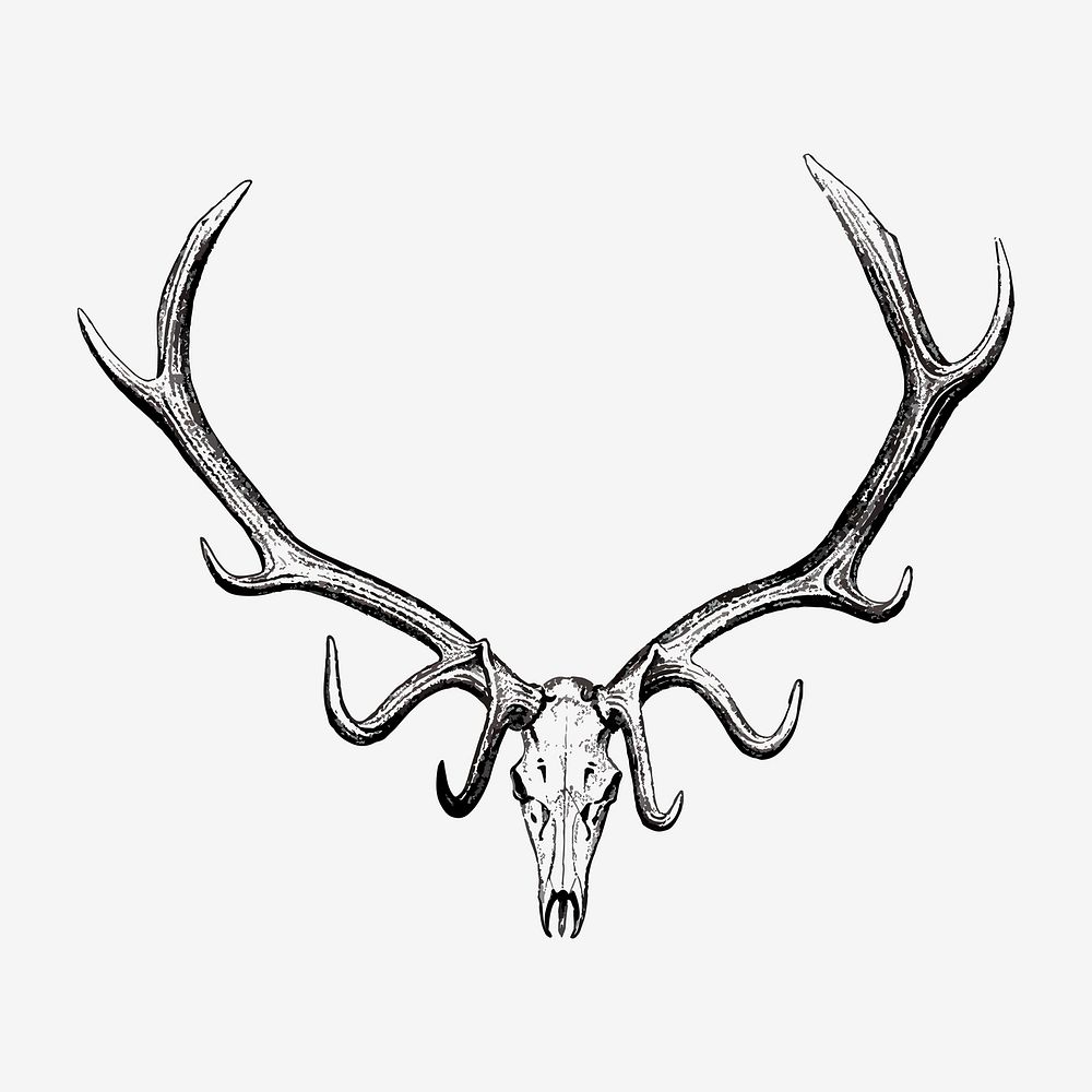 Vintage animal skull drawing clipart, | Premium Vector Illustration ...