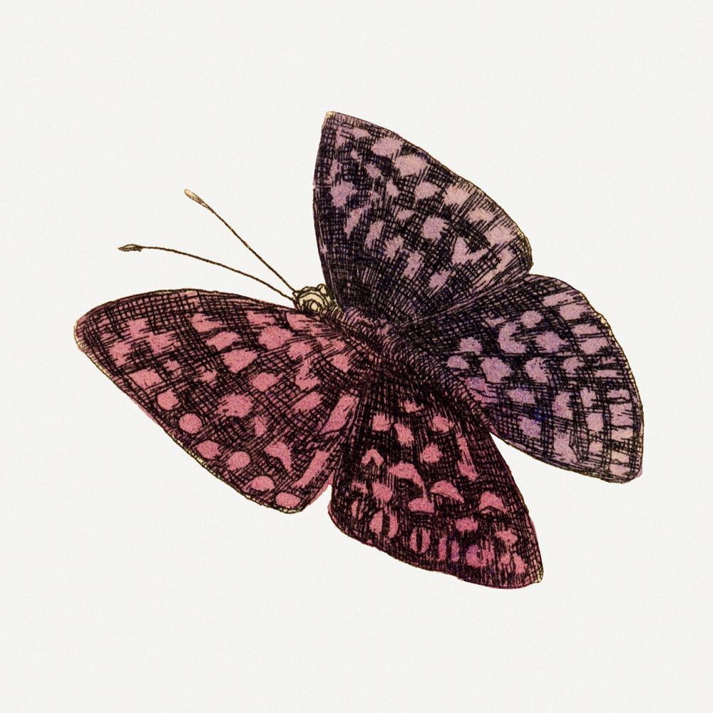 Butterfly illustration, aesthetic painting Premium Photo Illustration