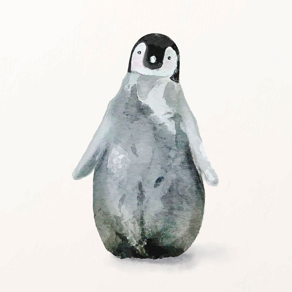 Watercolor baby penguin illustration vector, | Premium Vector ...