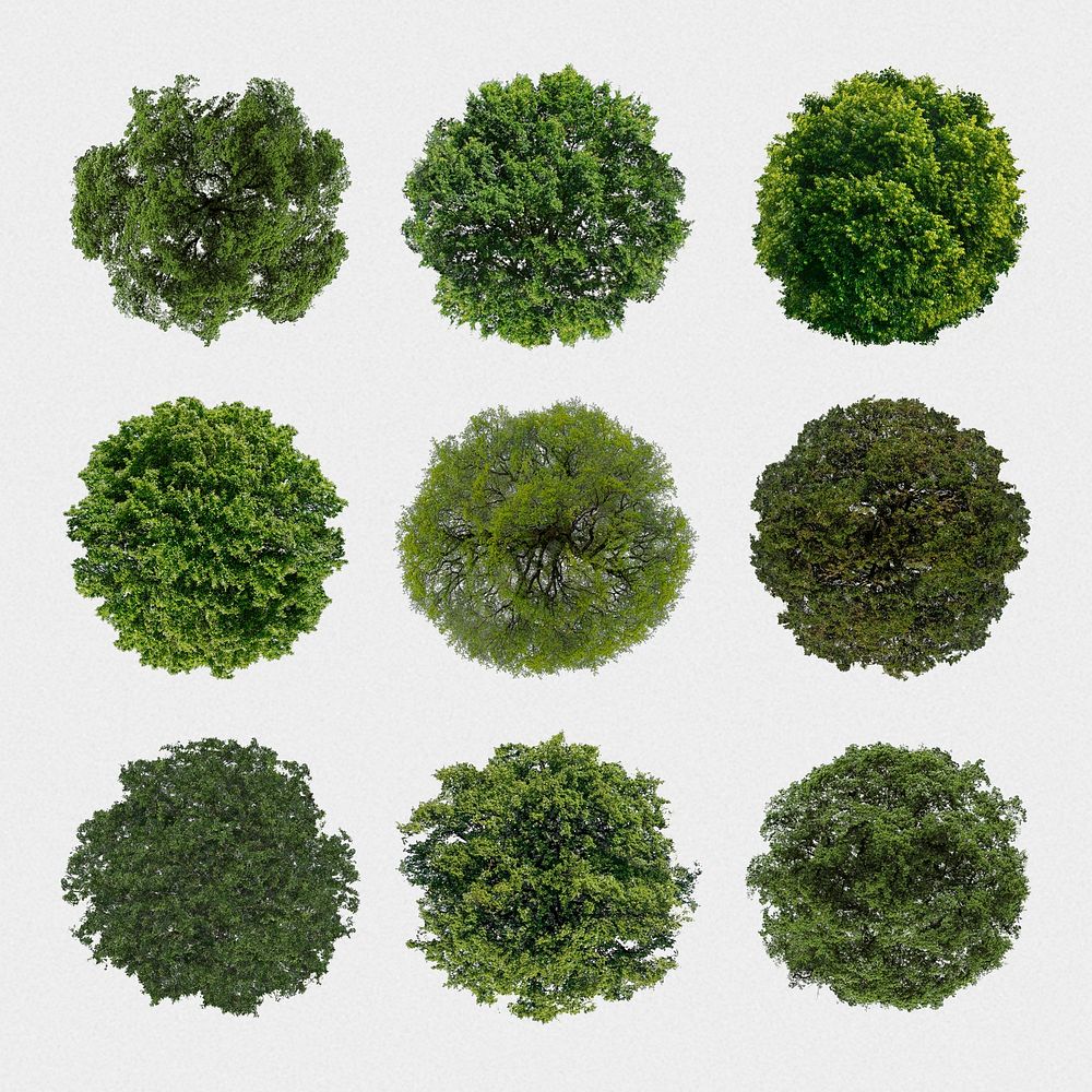 Tree top view stickers set, | Premium PSD - rawpixel