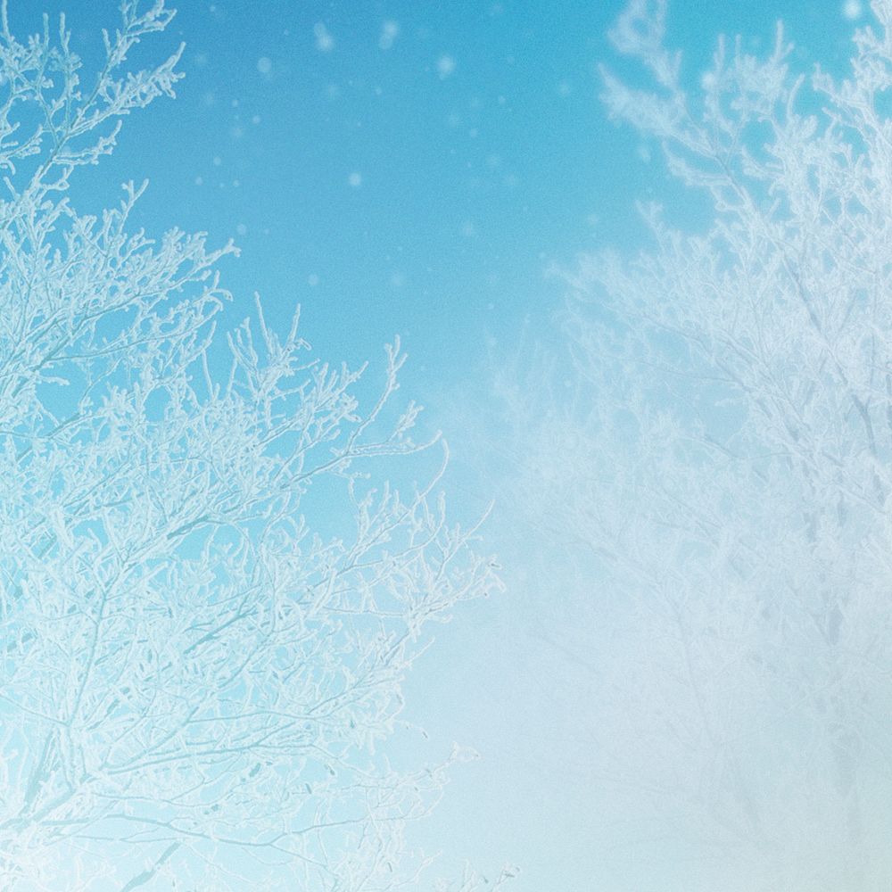 Frozen tree on a snowy | Premium Photo - rawpixel