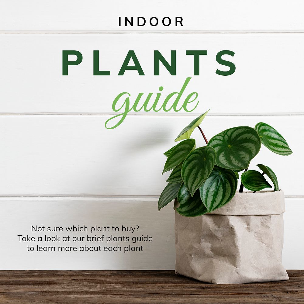 Indoor plants guide template psd | Free PSD Template - rawpixel