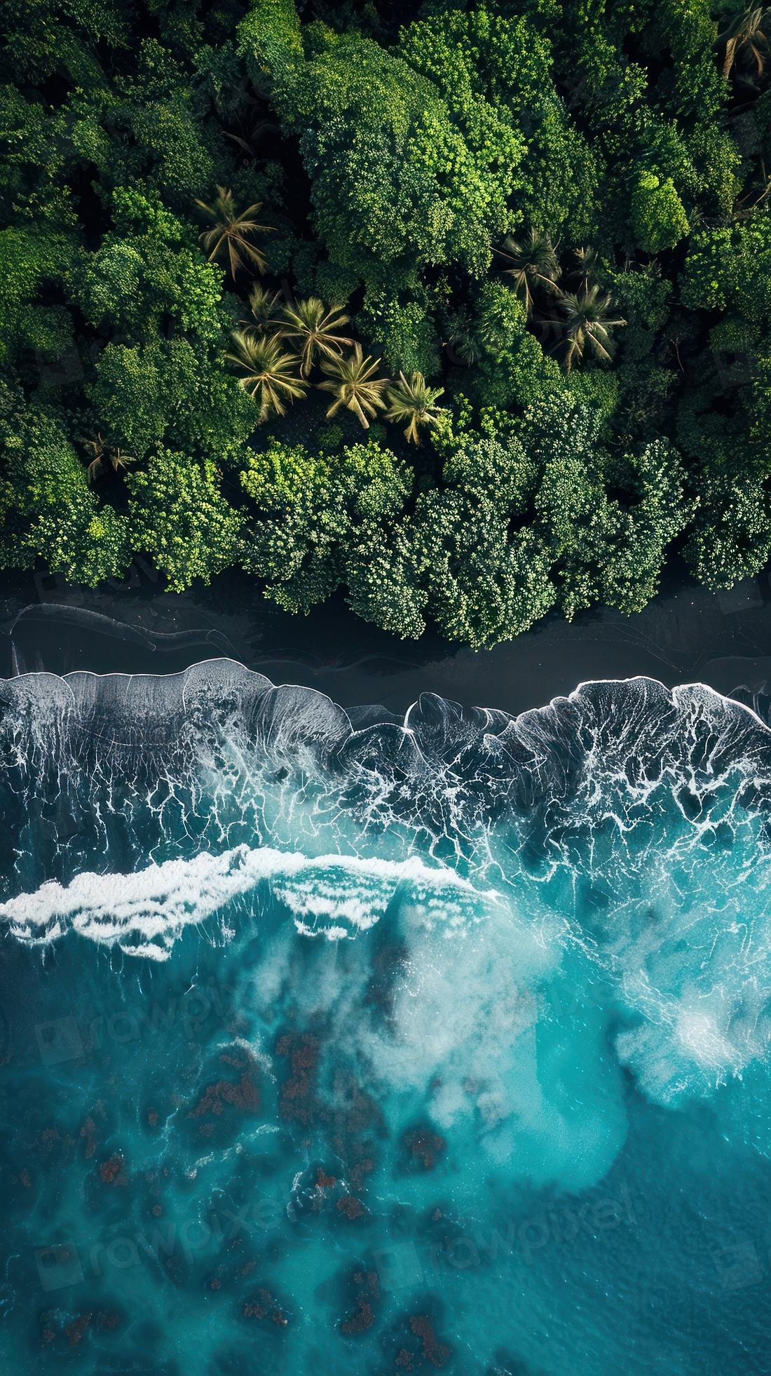 Lush tropical forest meets ocean | Premium Photo - rawpixel