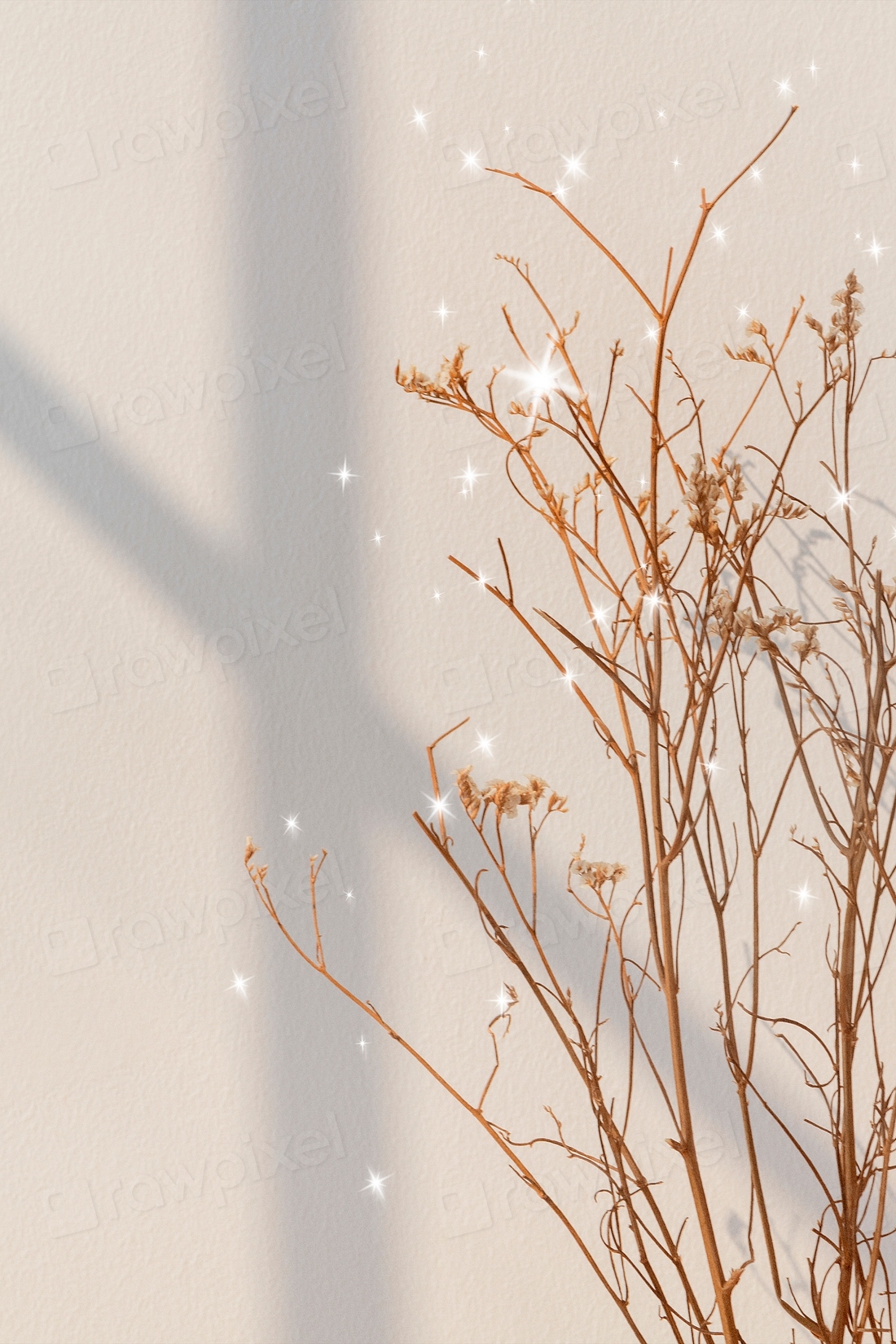 Aesthetic background, dried flower shadow, | Free Photo - rawpixel