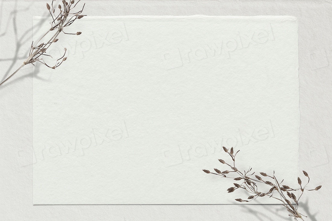 Psd dry flower white background | Premium PSD - rawpixel