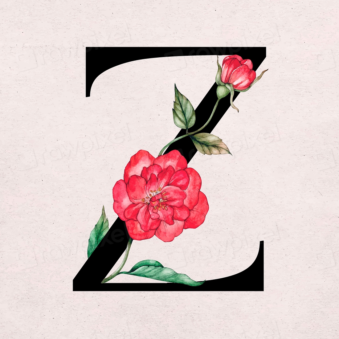 Floral z letter font vector | Premium Vector - rawpixel