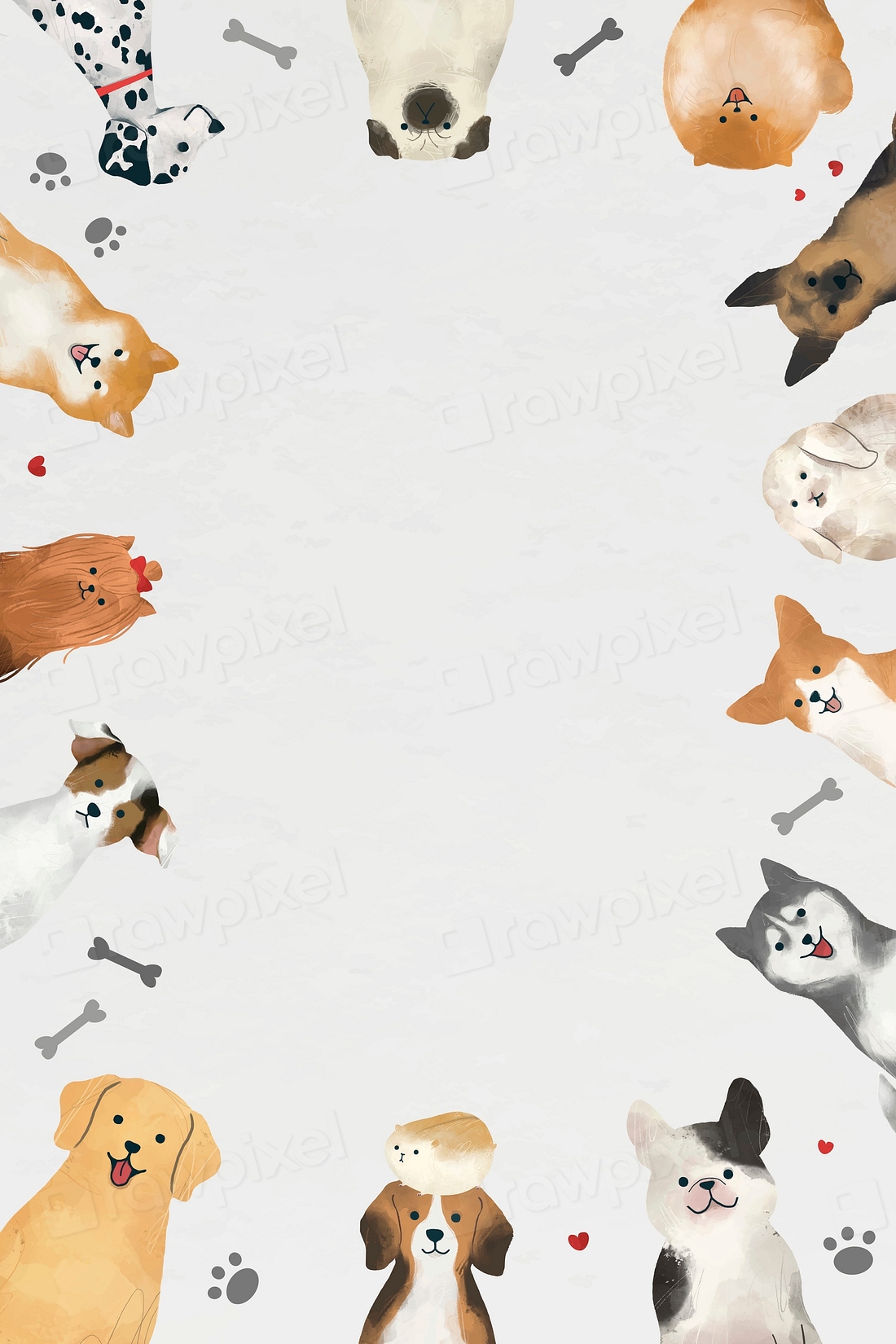 Frame dogs vector white background | Premium Vector - rawpixel