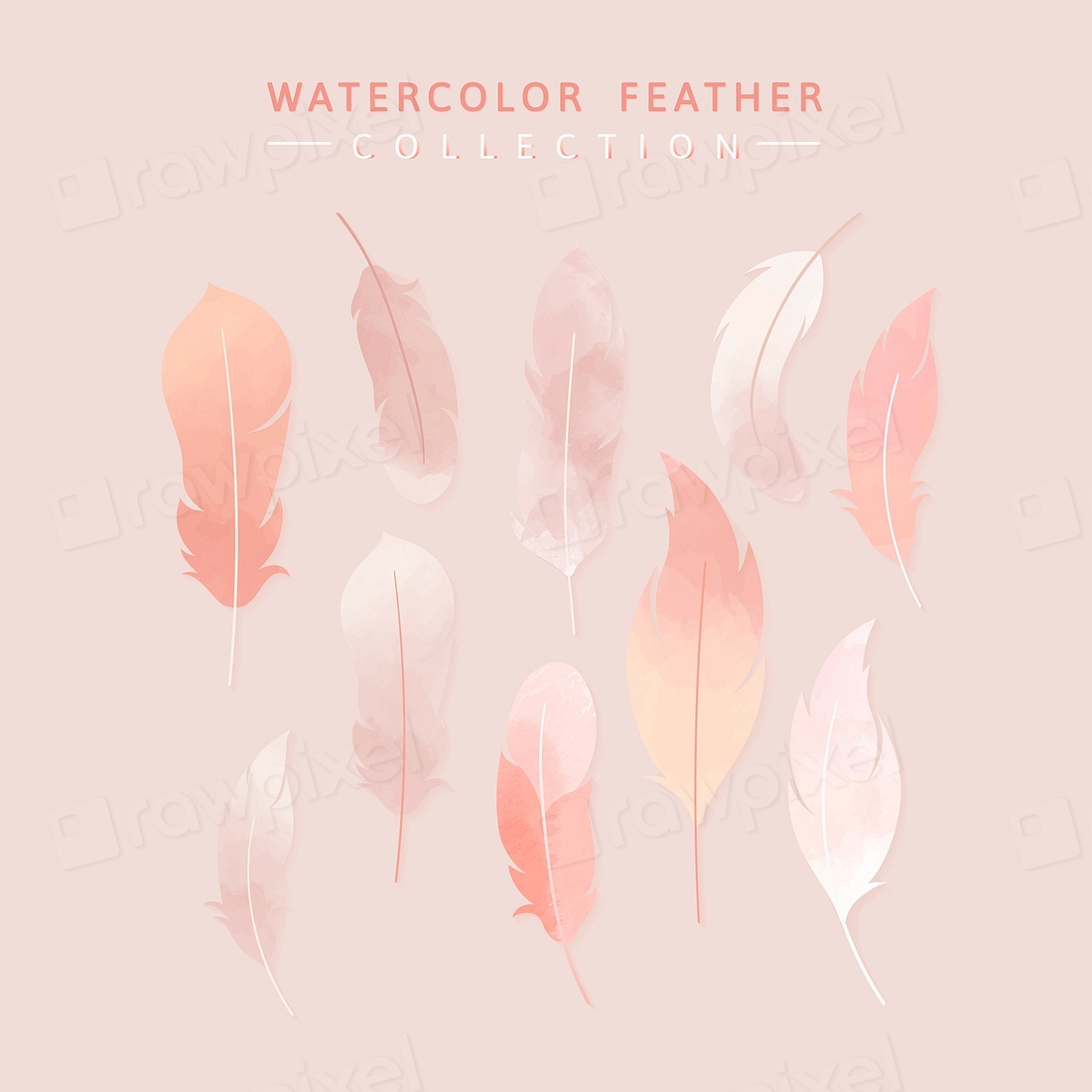 Pink watercolor lightweight feather collection | Premium Vector - rawpixel