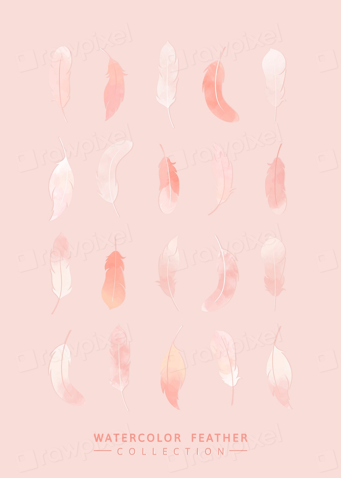 Pink watercolor lightweight feather collection | Premium Vector - rawpixel