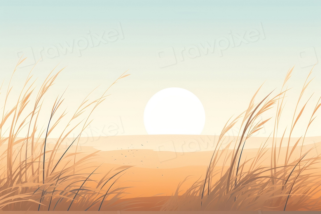 Beach Grass field grass backgrounds | Premium Photo Illustration - rawpixel