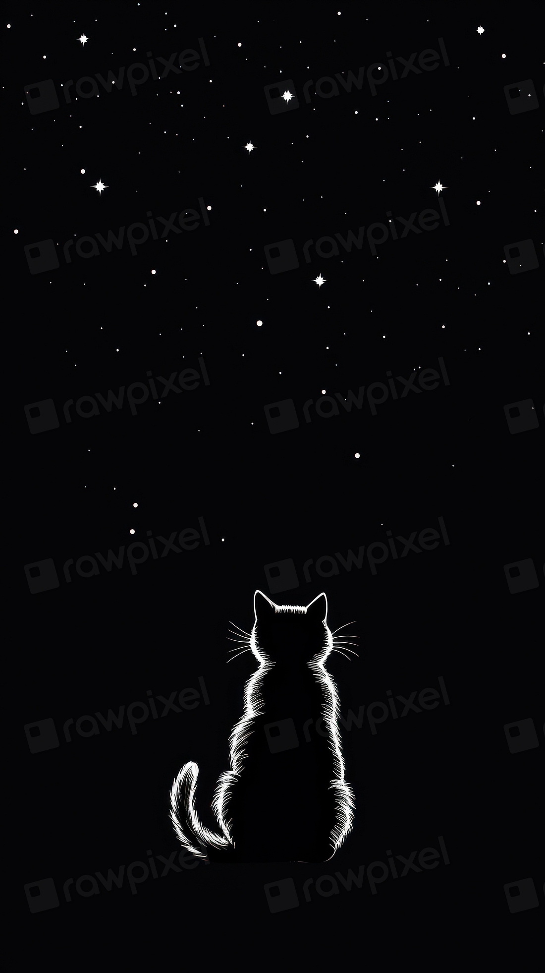 Cat silhouette mammal night | Premium Photo Illustration - rawpixel