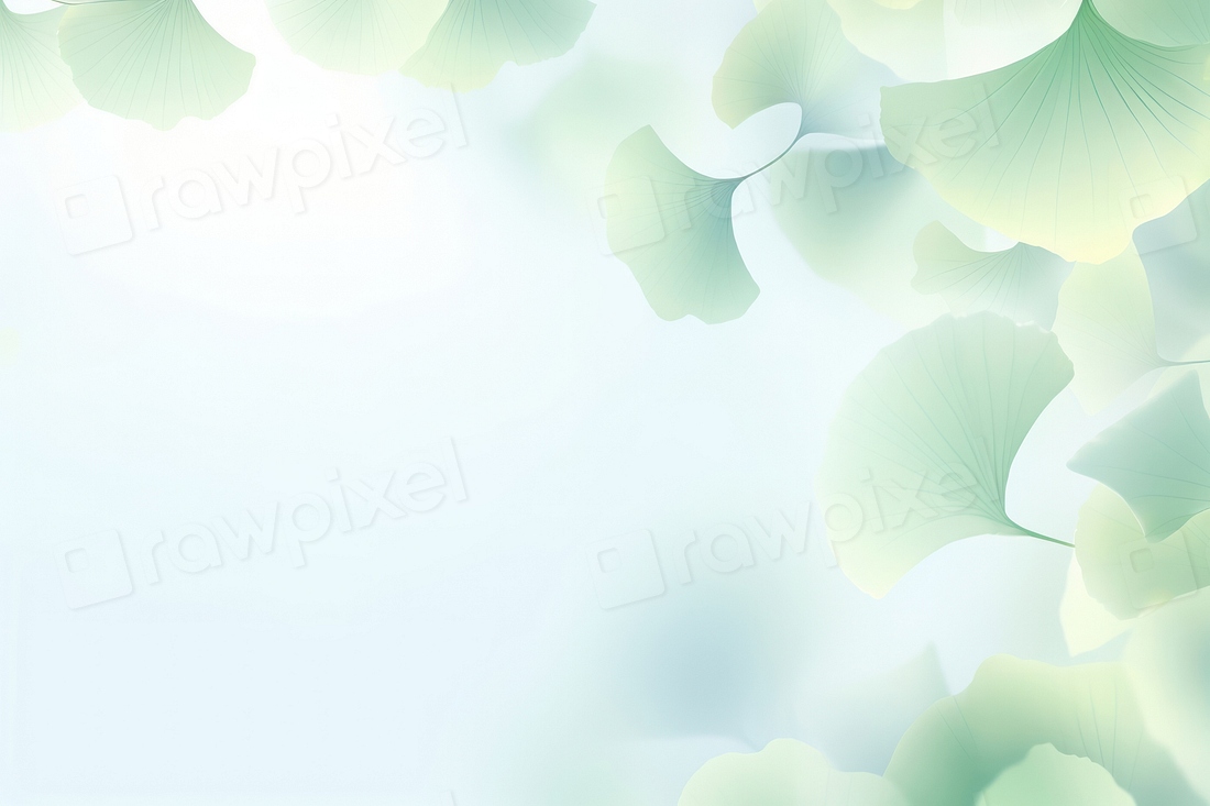 Light soft green ginkgo backgrounds Free Photo Illustration rawpixel