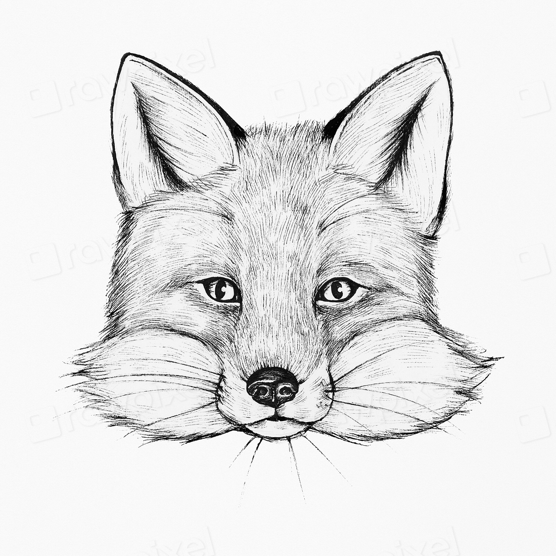 Cute hand drawn fox illustration | Premium PSD Illustration - rawpixel