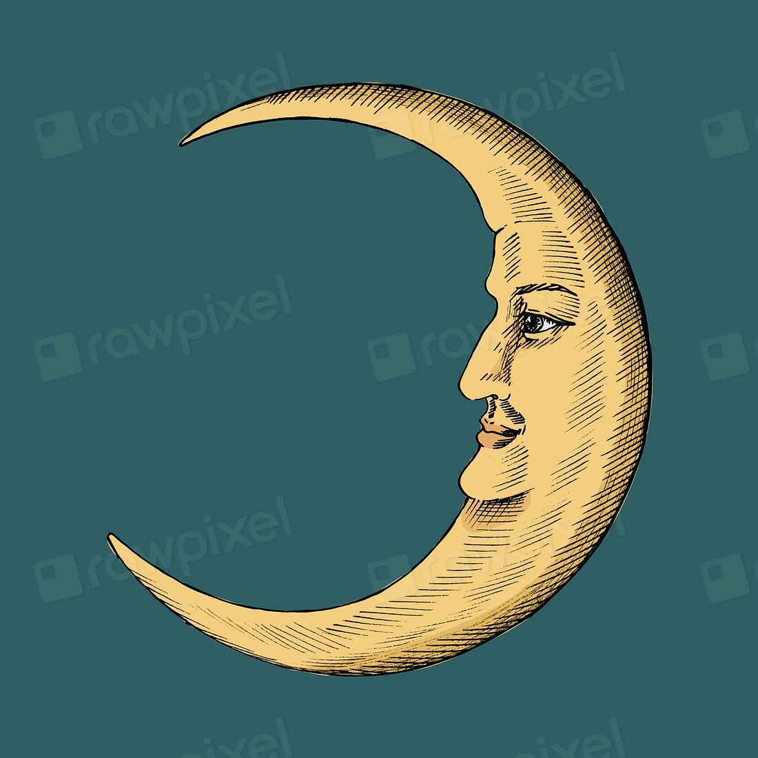 Hand drawn sketch crescent moon | Premium Vector Illustration - rawpixel