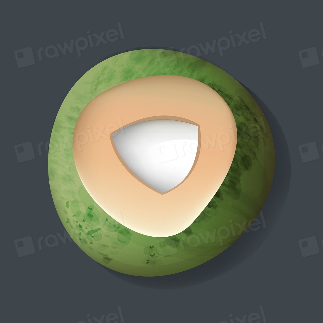 Fresh Cut Open Coconut Vector Premium Vector rawpixel