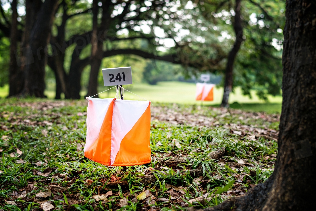 Orienteering box in a forest | Premium Photo - rawpixel