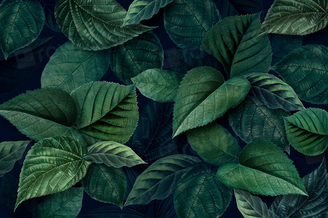 Metallic green leaves textured background | Premium Photo - rawpixel