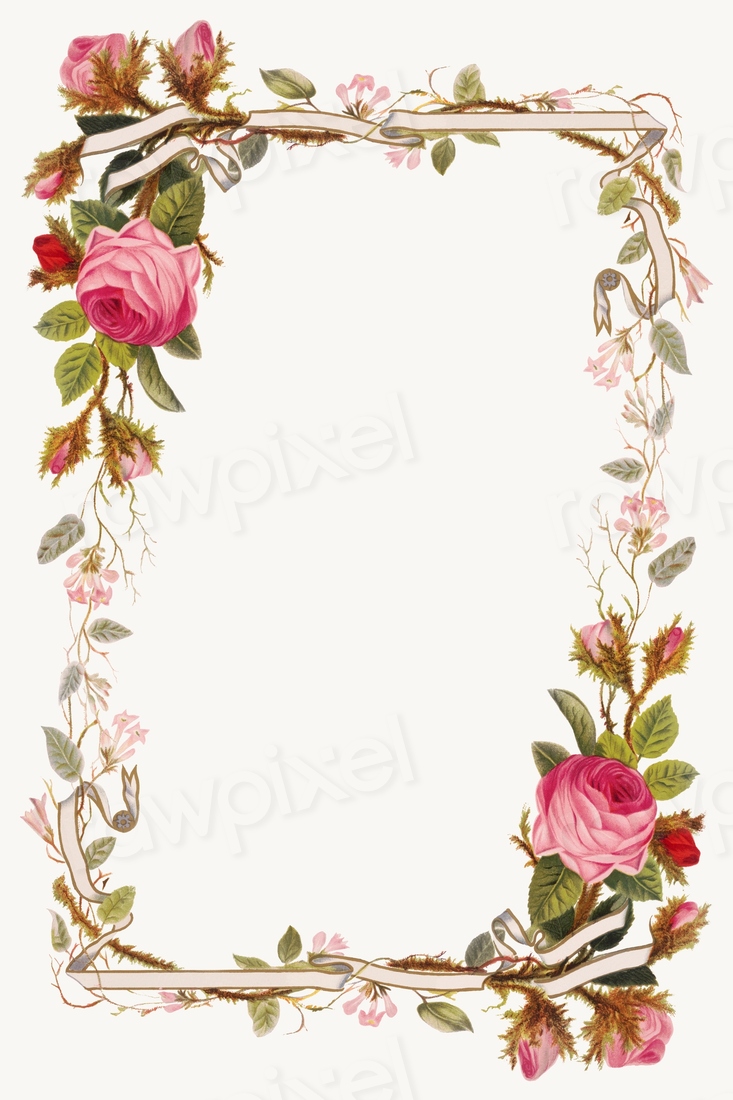 Vintage pink roses border frame | Premium Photo - rawpixel
