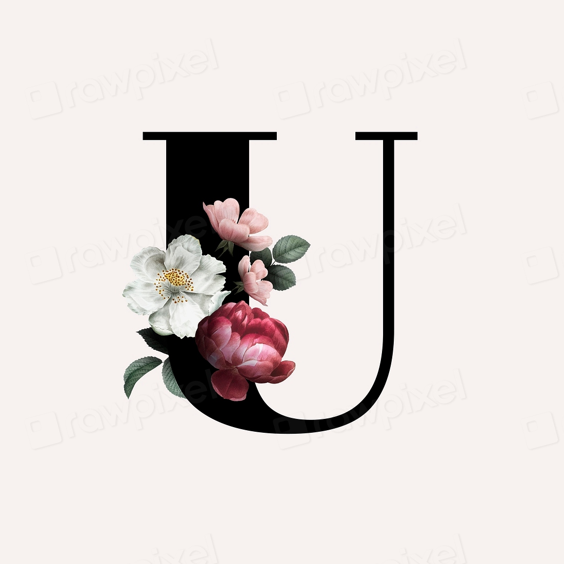 Classic and elegant floral alphabet | Premium Vector - rawpixel