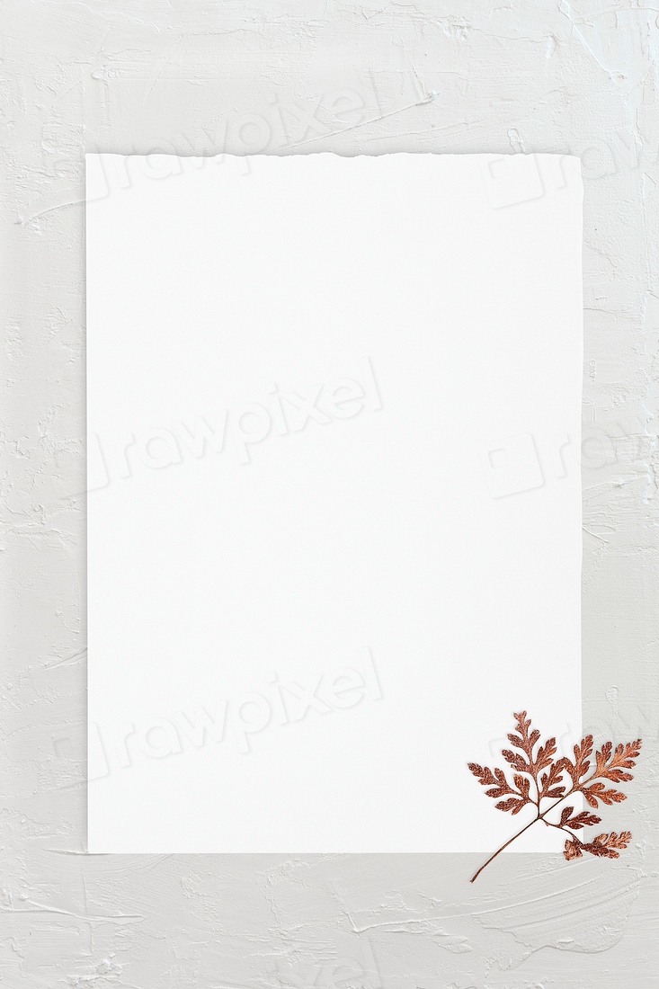 Blank white paper template dry | Premium PSD Mockup - rawpixel