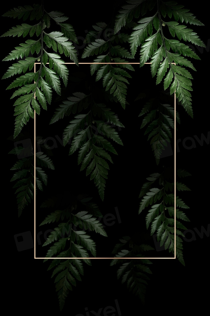 Rectangle golden frame on a tropical | Premium Vector - rawpixel