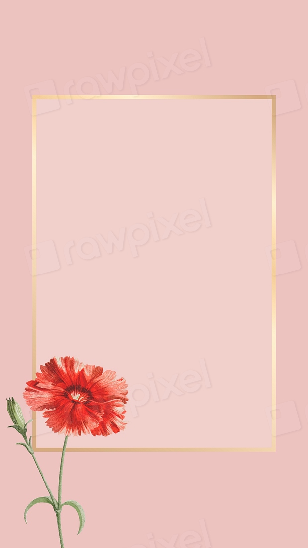 Orange carnation flower element pink | Premium Vector - rawpixel