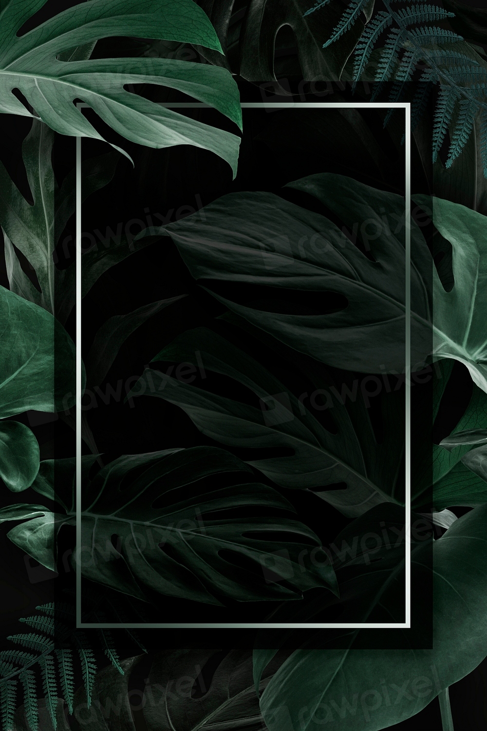 Rectangle frame green monstera leaves | Premium PSD - rawpixel