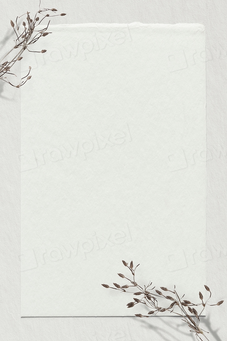 Dry branch psd white background | Premium PSD - rawpixel